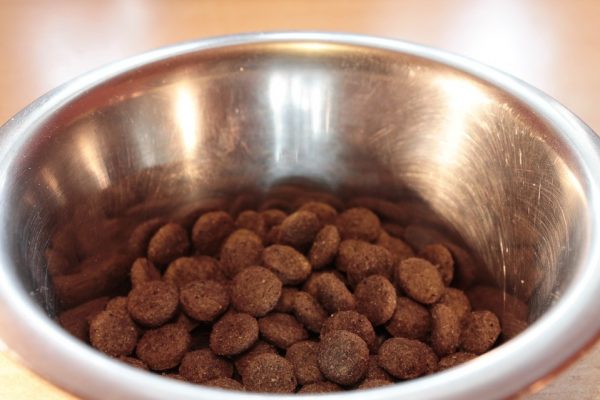 food-bowl-281978_960_720 food-bowl-281978_960_720