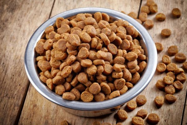 how-to-make-dry-dog-food-more-appealing-to-your-dog-53bacc6b81ed71 how-to-make-dry-dog-food-more-appealing-to-your-dog-53bacc6b81ed71